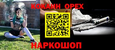 СК Кандалакша