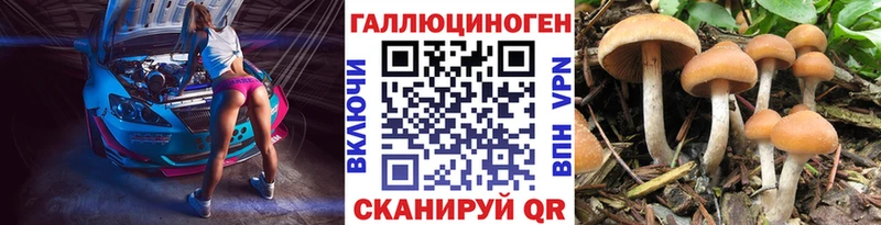 hydra как зайти  Нижний Новгород  Галлюциногенные грибы MAGIC MUSHROOMS 