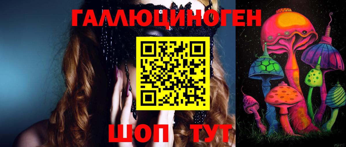 Галлюциногенные грибы Psilocybe Нижний Новгород