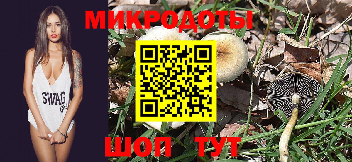 магазин    Галлюциногенные грибы GOLDEN TEACHER  Вход с VPN  Нижний Новгород 